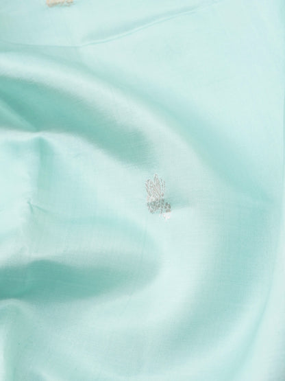 Handloom Banarasi Pure Katan Silk Kadwa Saree in Mint with Bird - Khinkhwab