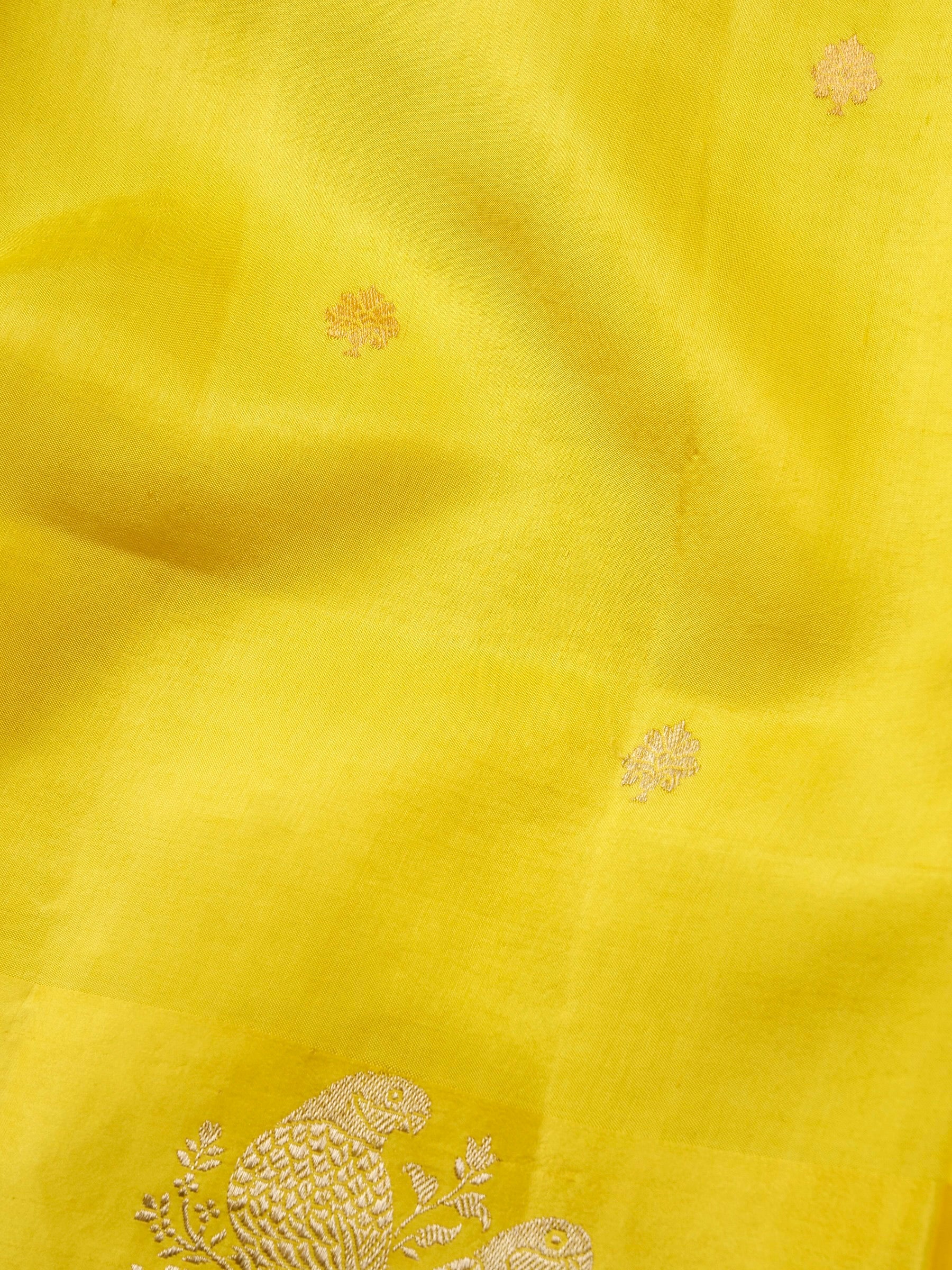 Handloom Banarasi Pure Katan Silk Kadwa Saree in Yellow with Parrot Motif - Khinkhwab