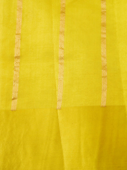 Handloom Banarasi Pure Katan Silk Kadwa Saree in Yellow with Parrot Motif - Khinkhwab