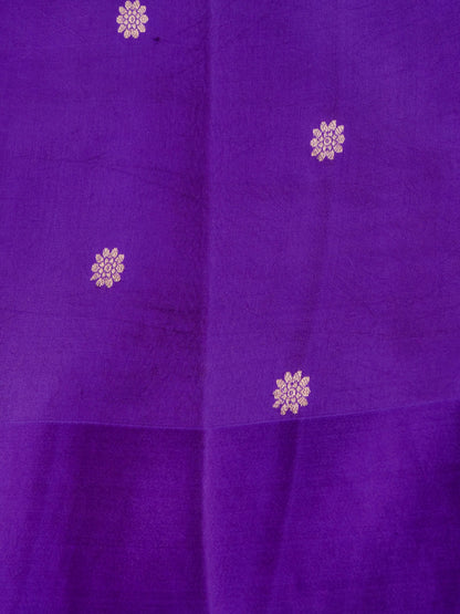Handloom Banarasi Pure Katan Silk Ice Blue Kadwa Saree with Nandi &amp; Calf - Khinkhwab