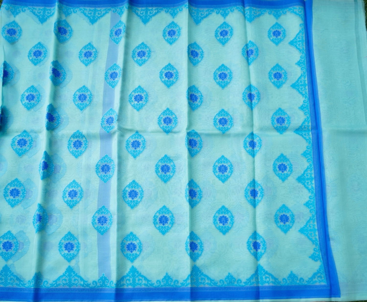 Handwoven Banarasi Organza Silk Kadwa Saree in Ice Blue- Soglia