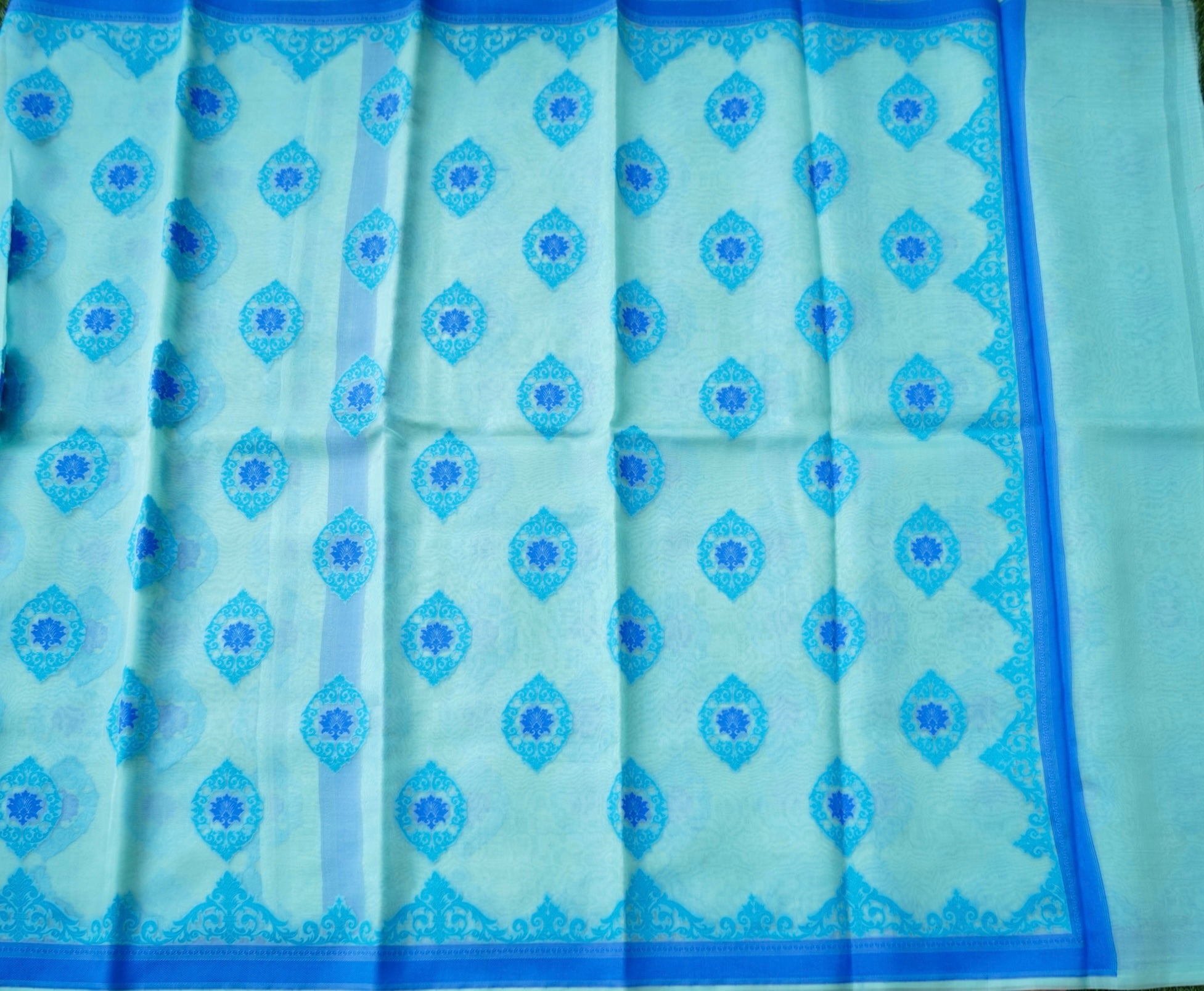 Handwoven Banarasi Organza Silk Kadwa Saree in Ice Blue- Soglia