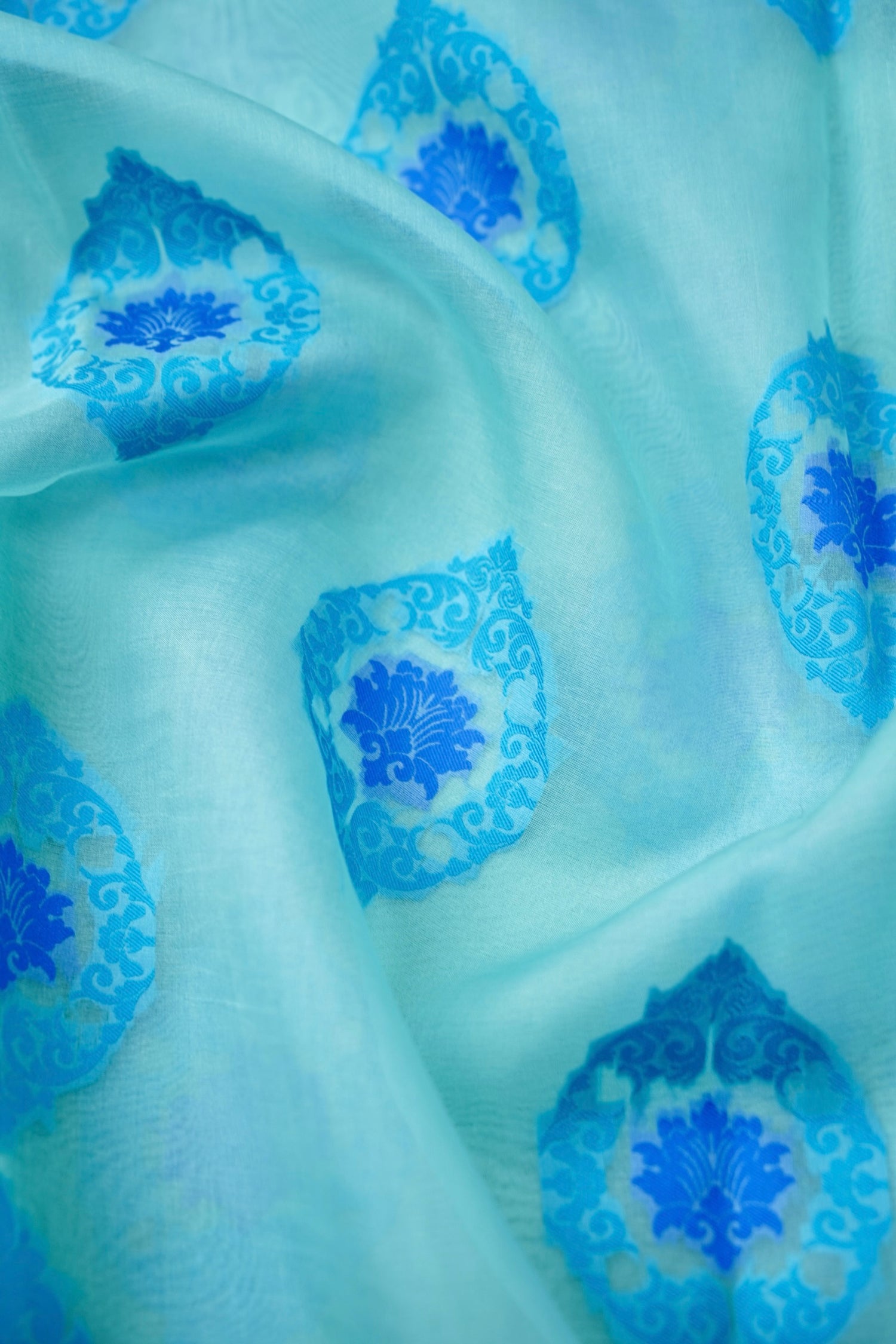 Handwoven Banarasi Organza Silk Kadwa Saree in Ice Blue- Soglia