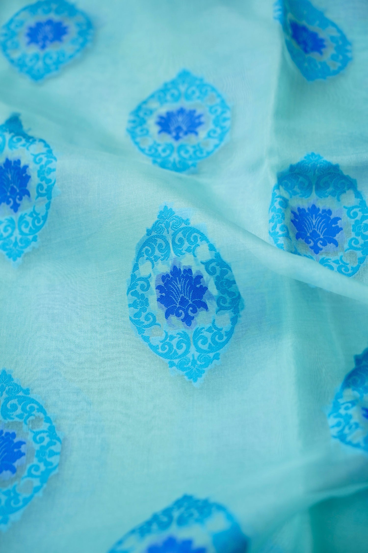 Handwoven Banarasi Organza Silk Kadwa Saree in Ice Blue- Soglia