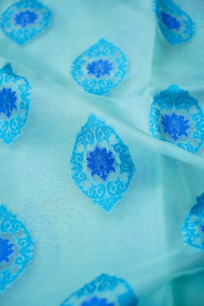 Handwoven Banarasi Organza Silk Kadwa Saree in Ice Blue- Soglia