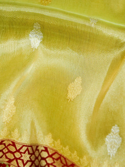 Handloom Banarasi Pure Silk Tissue Kadwa Saree with Katan Border - Khinkhwab