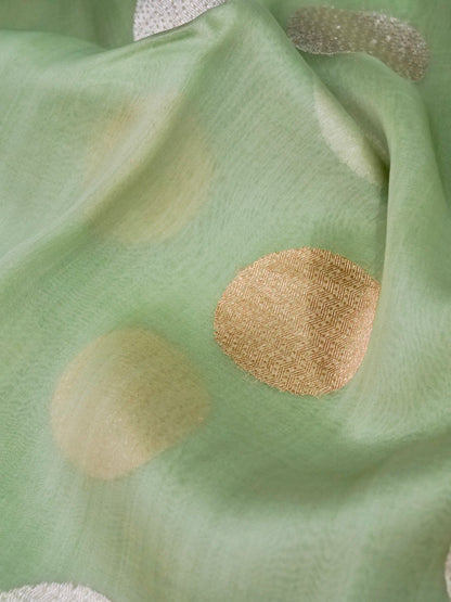 Kora Silk Kadwa Handwoven Banarasi Saree in Pista Green