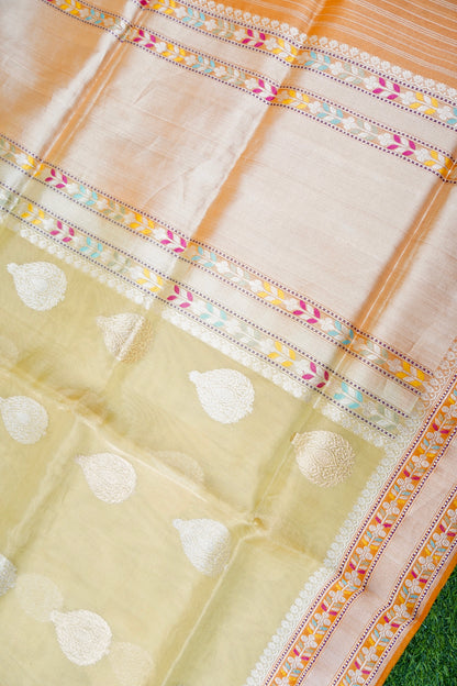 Banarasi Kora Tissue Kadwa Handloom Saree | Pistachio