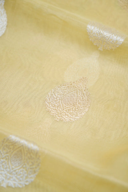 Banarasi Kora Tissue Kadwa Handloom Saree | Pistachio