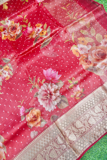 Organza Silk Print Saree