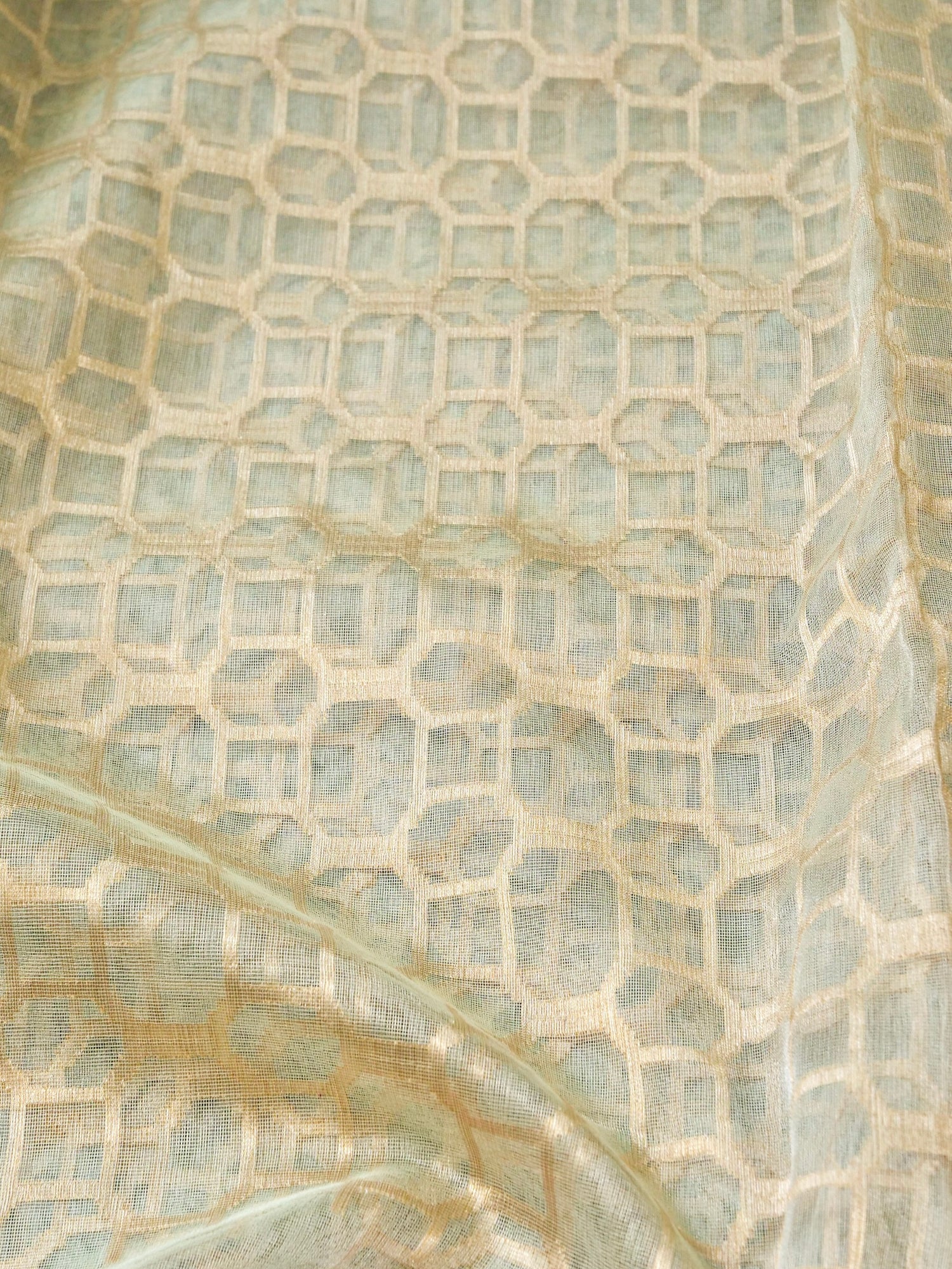 Pure Banarasi Tissue Net Ektara Saree