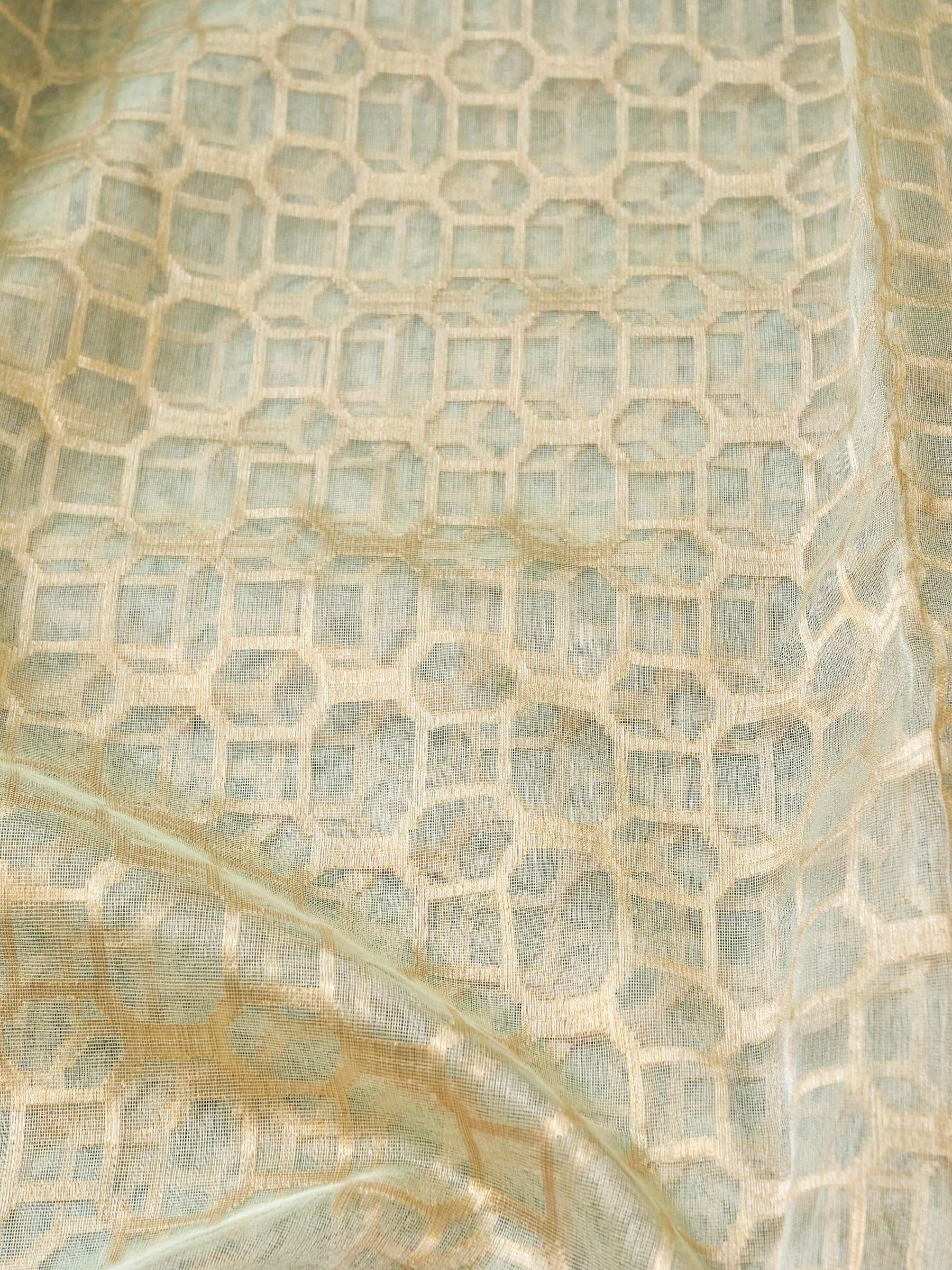 Pure Banarasi Tissue Net Ektara Saree