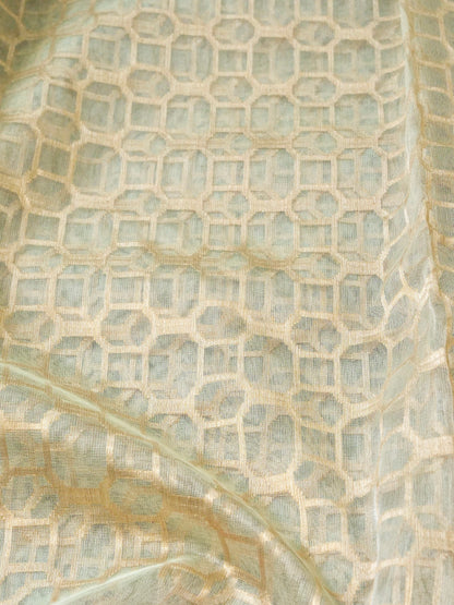 Pure Banarasi Tissue Net Ektara Saree