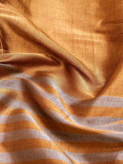 Chanderi Tissue Silk Handwoven Saree - Khinkhwab