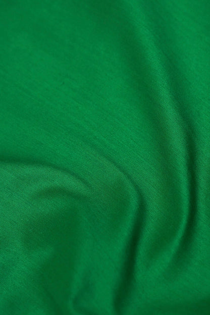 Handwoven Mint Green Mashru Silk Banarasi Saree