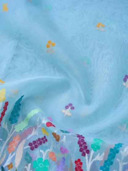 Banarasi Kora Silk Ektara Jamdani Saree in Sky Blue