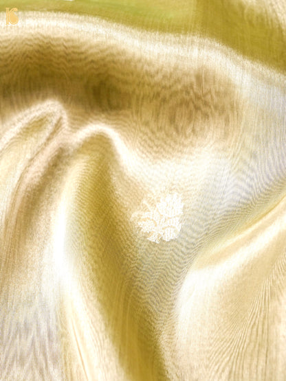 Handwoven Banarasi Tissue Silk Saree in Champagne Gold - Aab