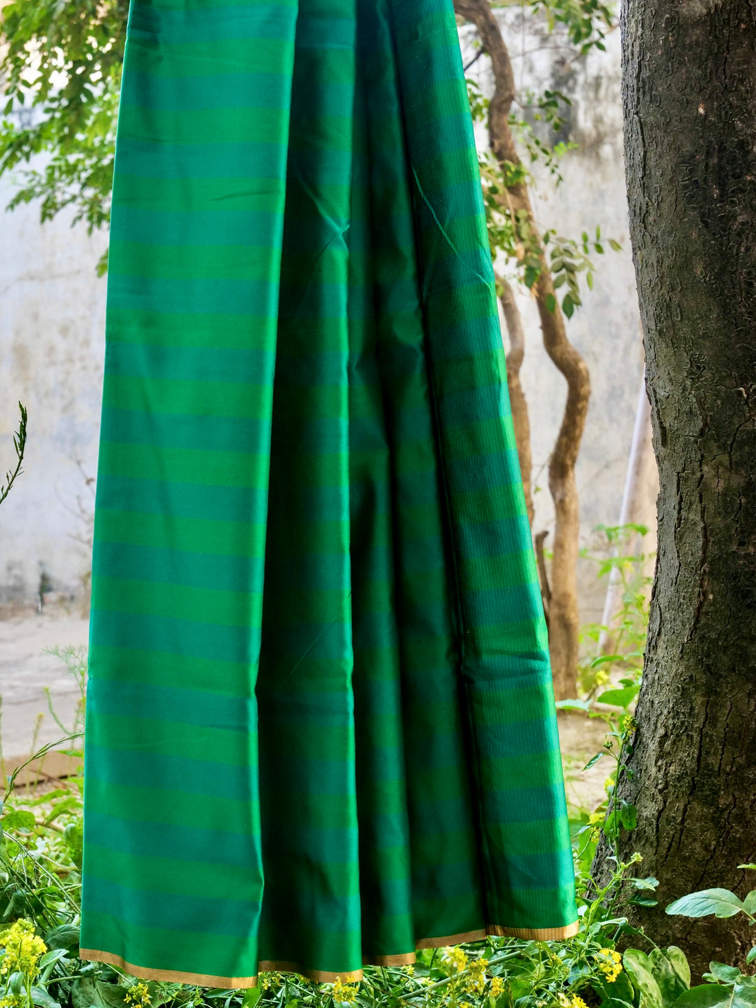 Handwoven Pure Mashru Silk Banarasi Saree - Khinkhwab