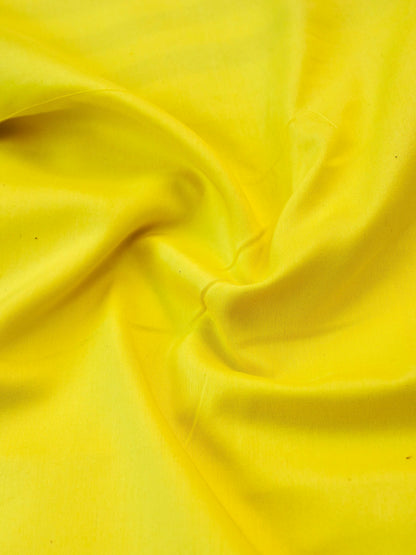 Handwoven Pure Mashru Silk Banarasi Saree - Khinkhwab