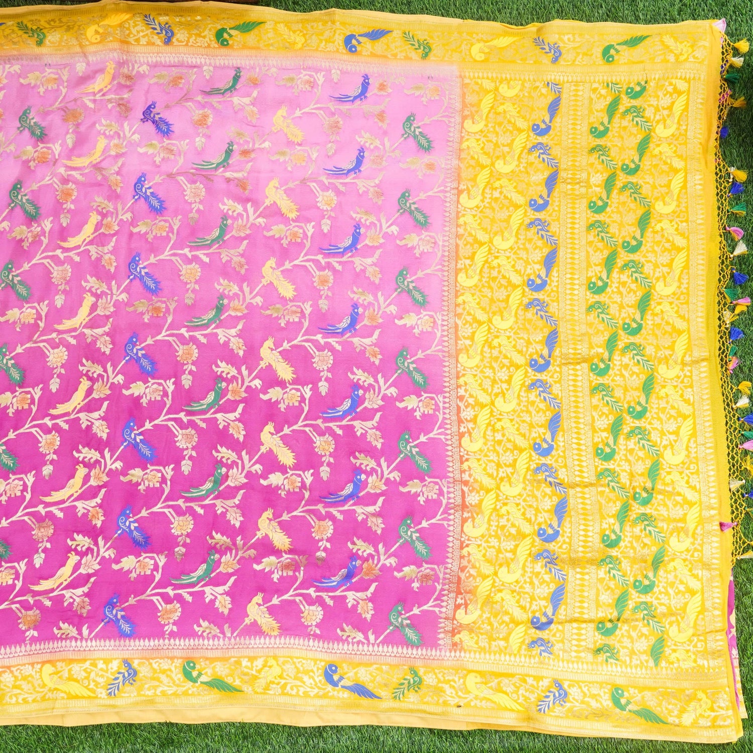 Pure Georgette Birds of Paradise Tri Color Banarasi Saree
