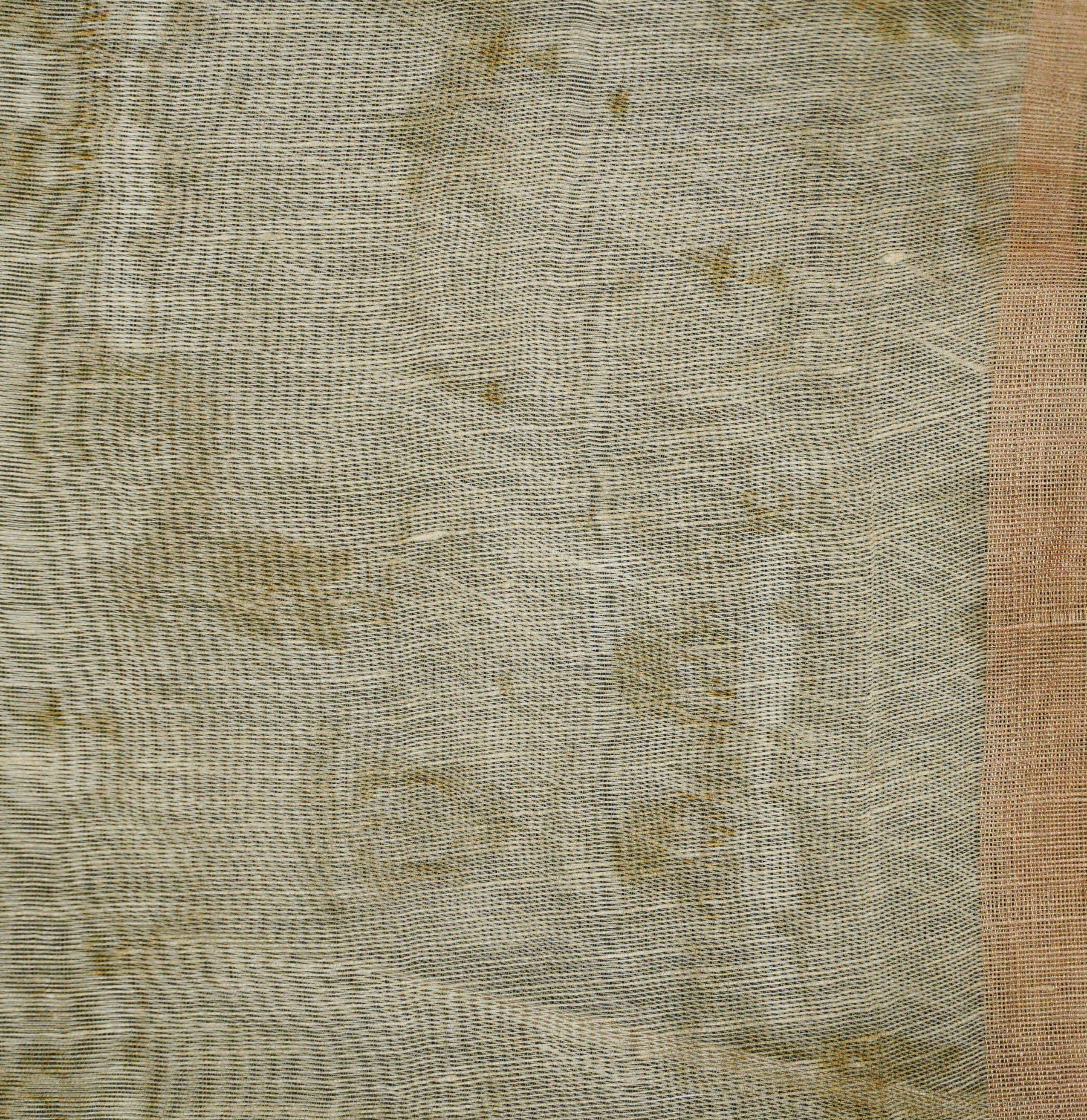 Linen Banarasi Printed Saree