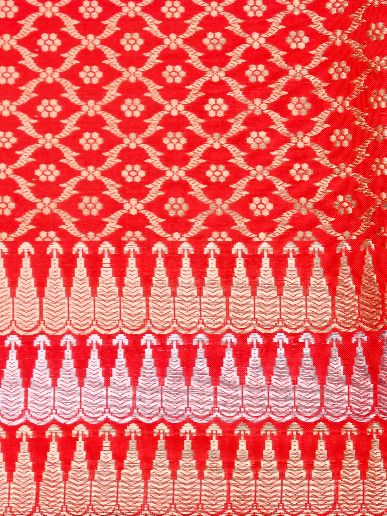 Handloom Banarasi Pure Tissue by Silk Saree