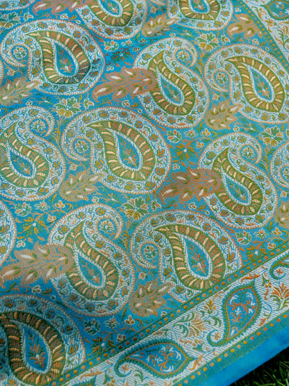 Handloom Banarasi Silk Resham Tanchoi Saree - Khinkhwab