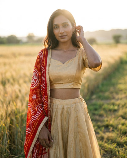 Customisable Tissue Silk Lehenga with Blouse in Gold
