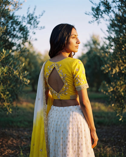 Handwoven Chanderi Silk Kalidar Lehenga Set with Yellow Blouse and Dupatta