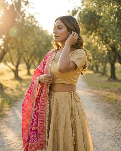 Customisable Tissue Silk Lehenga with Blouse in Gold