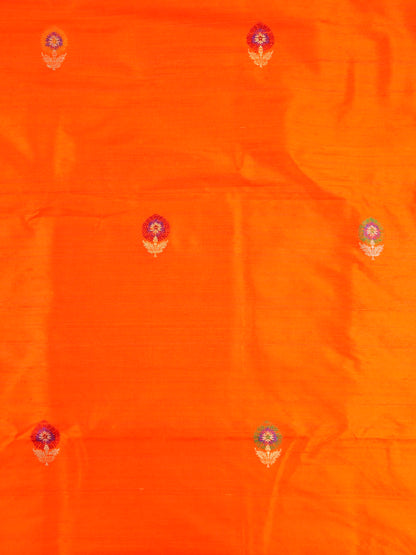 Pure Raw Silk Banarasi Fabric