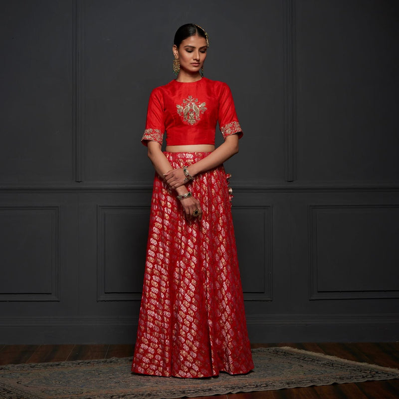 Red Georgette Handloom Banarasi Elepehant Stitched Lehenga Set - Khinkhwab