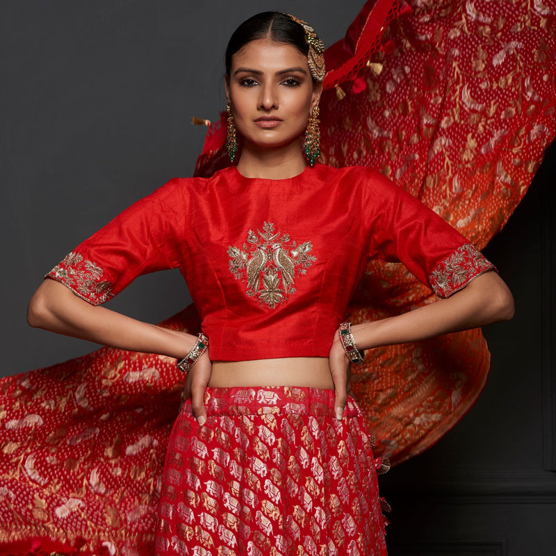 Red Georgette Handloom Banarasi Elepehant Stitched Lehenga Set - Khinkhwab