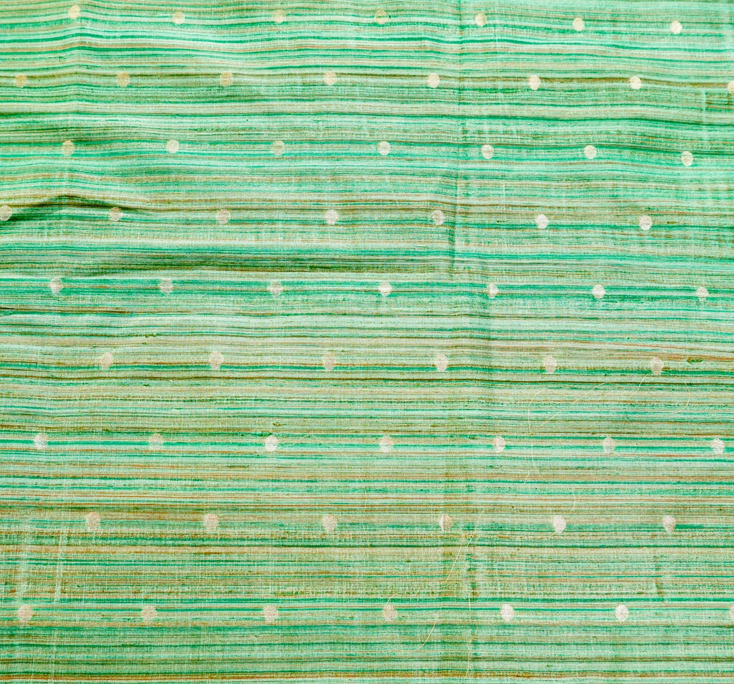 Green Pure Raw Silk Banarasi Fabric - Khinkhwab