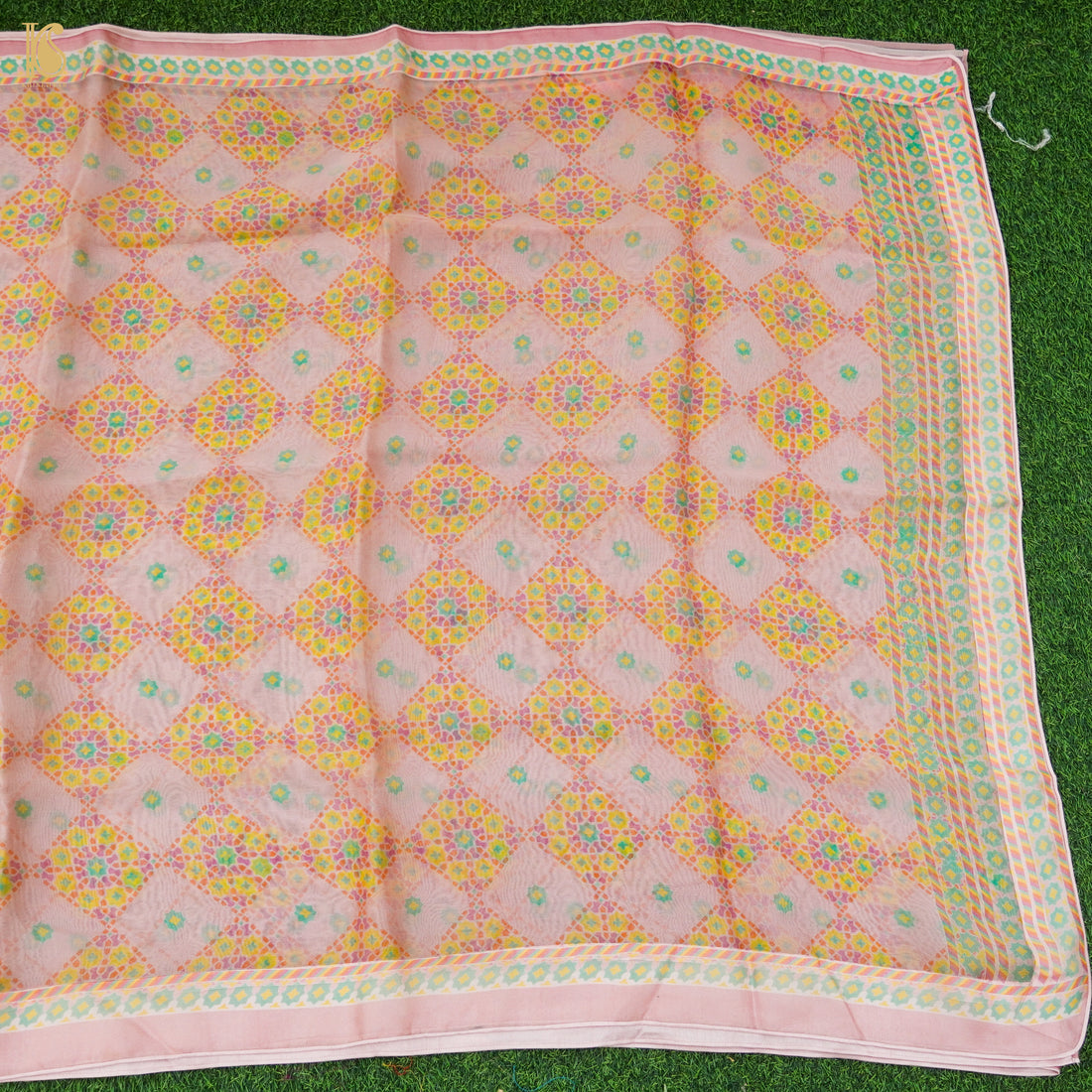 NILUFER - Oyster Pink Pure Organza Print Saree - Khinkhwab