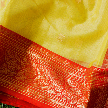 Wild Rice Yellow Pure Tissue Silk Handwoven Chanderi Saree - Khinkhwab