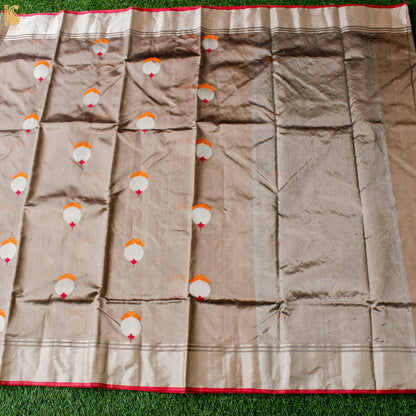 Wafer Brown Pure Silk Handwoven Chanderi Eknaliya Meena Saree - Khinkhwab