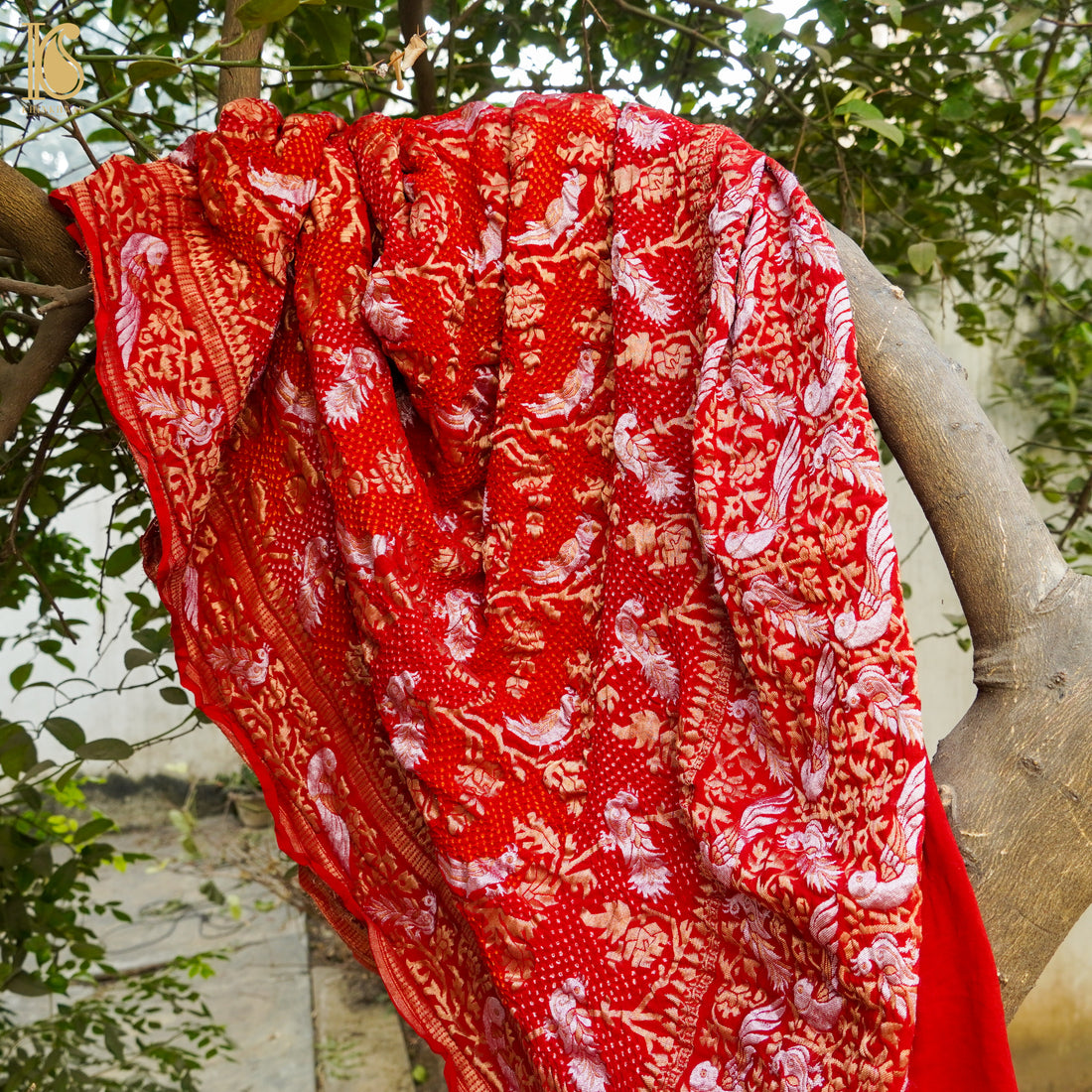 Guardsman Red Georgette Handloom Bandhani Banarasi Birds Dupatta - Khinkhwab