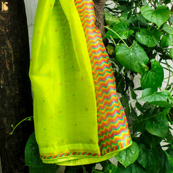 KARANFİL - Inch Worm Green Pure Organza Print Dupatta - Khinkhwab