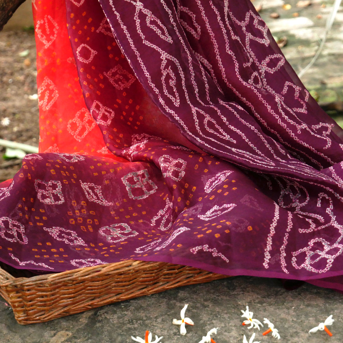Handwoven Pure Organza Silk Bandhani Saree - Khinkhwab